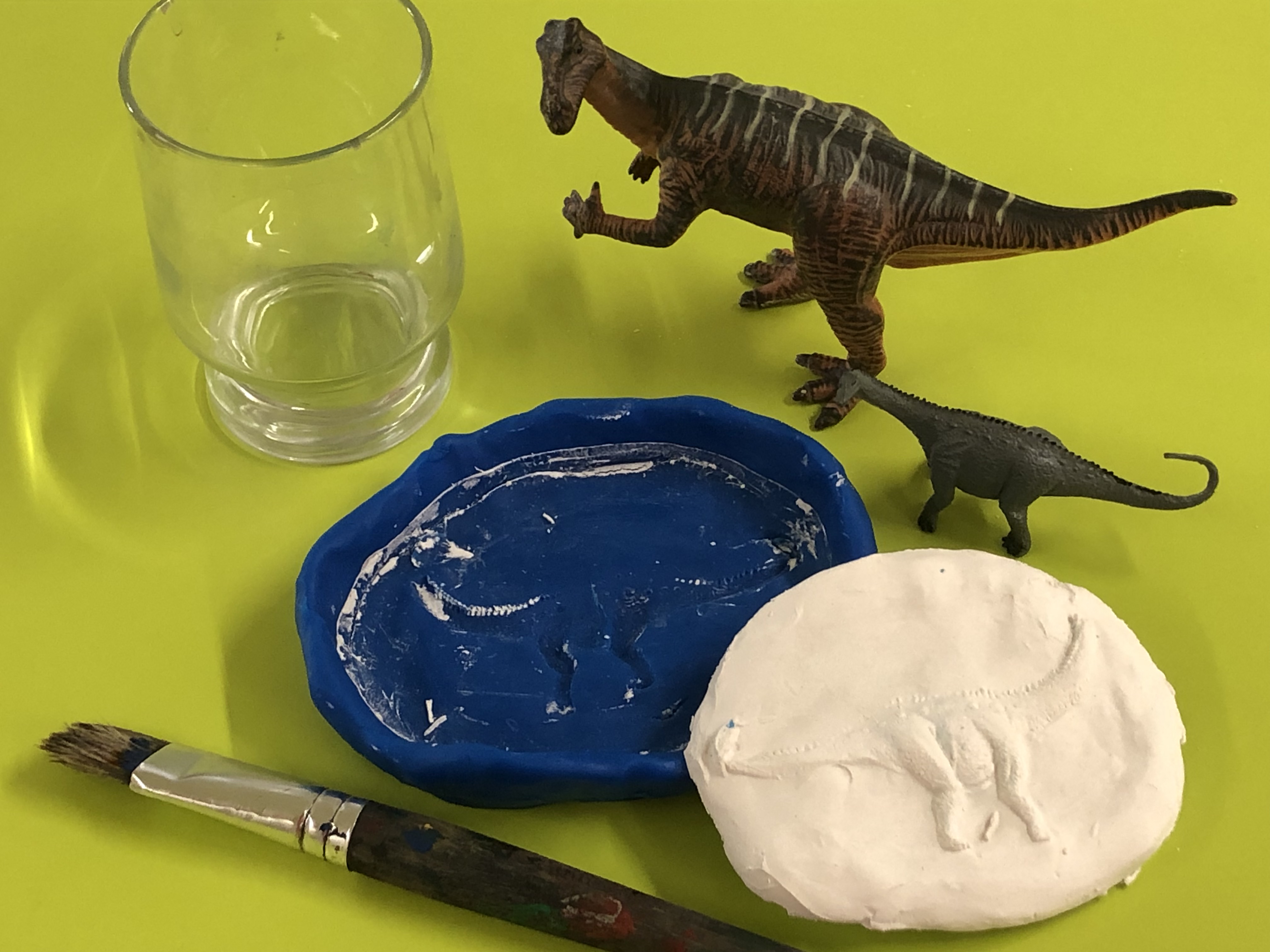 Fossilien - Zeugen der Evolution